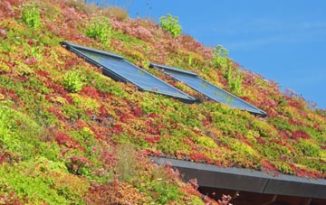 Melinsey living roof systems